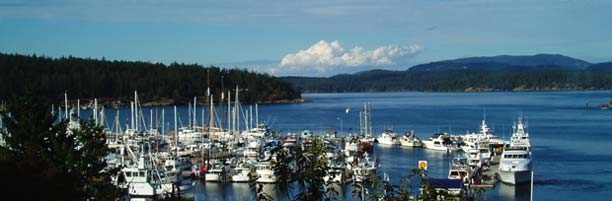 fridayharbor