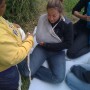 WFA Camp Orkila
