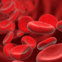 bbpathogens bbpathogens